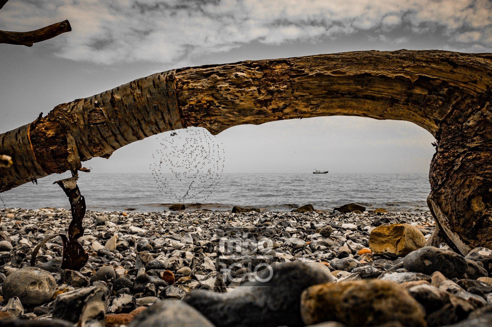 ... alles am Meer ...