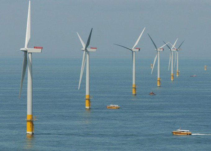 Use My Octopus Cashback Referral Code Agile Octopus Tariff