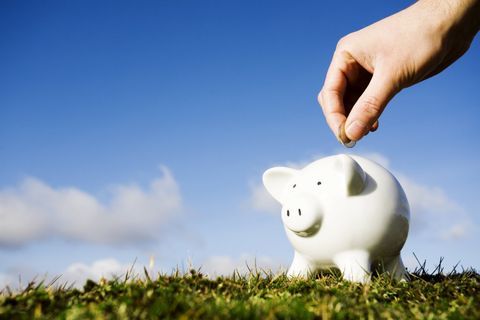 Go To My Referral Page On The Octopus Website Bulb Energy Referral Link