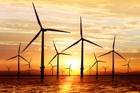 Use My Octopus Referral Code Flexible Octopus Tariff