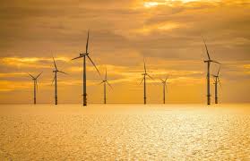 Use My Octopus Referral Link Octopus Cashback