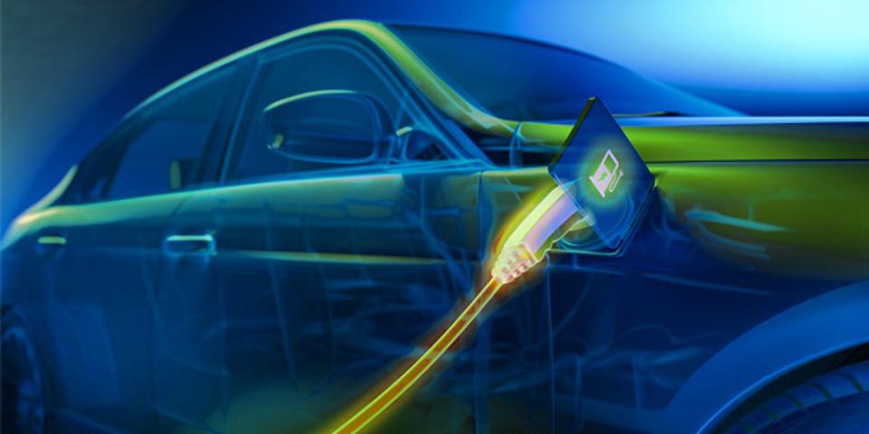 Use My Octopus Referral Code Octopus Referral Code