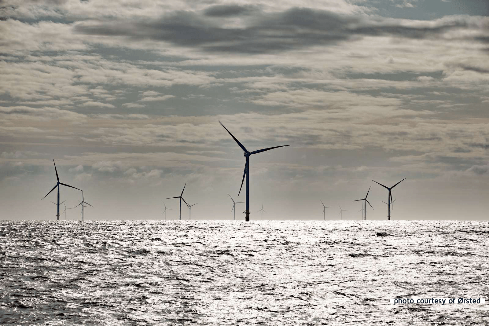 Octopus Business Energy Referral Code Link Octopus Business Energy Referral Code Link