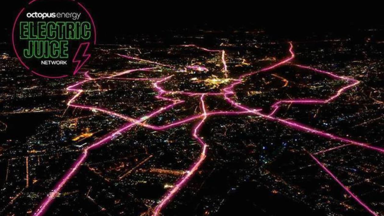 Use My Octopus Referral Link Octopus Electroverse