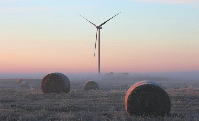 Octopus Energy Fan Club Octopus Energy Fan Club