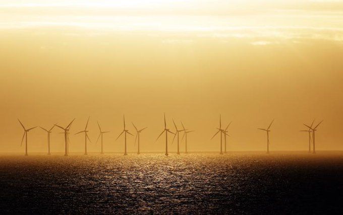 Octopus Energy Referral Scheme Terms & Conditions Octopus Energy Referral Scheme Terms & Conditions