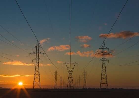 Octopus Referral Programme T&Cs Octopus Referral Programme T&Cs