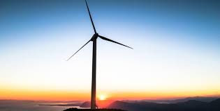 Use My Octopus Energy Referral Link Octopus Fan Club