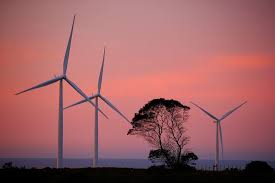 Use My Octopus Cashback Referral Code Octopus Fixed Tariffs