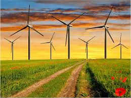 Use My Octopus Cashback Referral Link Octopus Cashback Referral