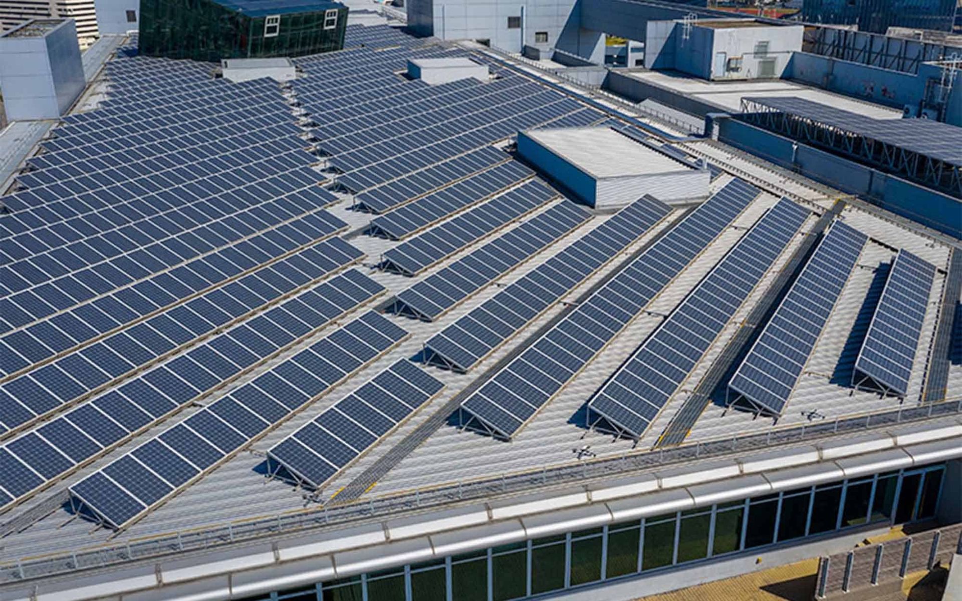 Octopus Panel Power Business Tariff Octopus Panel Power Business Tariff