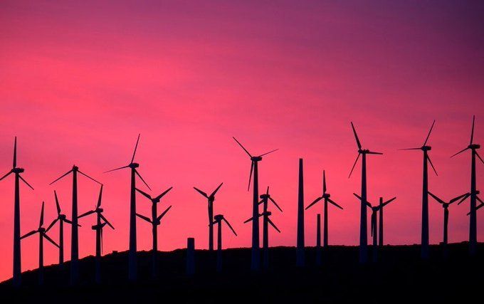 Use My £75 Octopus Referral Code Octopus Energy Faster More Reliable Switching