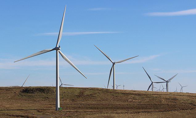 Use My Octopus Referral Code Octopus Smart Export Guarantee Tariff