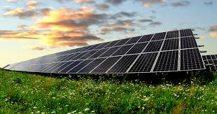 Get A Quote From Octopus With My Referral Octopus Energy £50 Refer A Friend