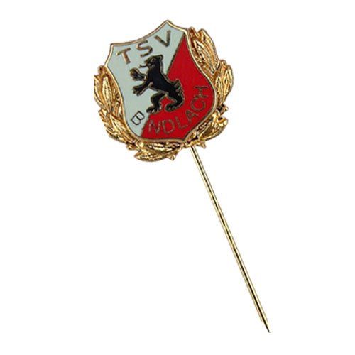 Sonderanfertigungen von Anstecknadeln, Ehrennadeln mit eigenem Motiv, Logo oder Wappen