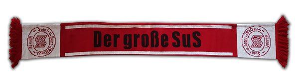 Vereinsschal, Fanschal mit dem eigenen Wappen, Logo, Motiv oder Slogan Fanschal gestrickt