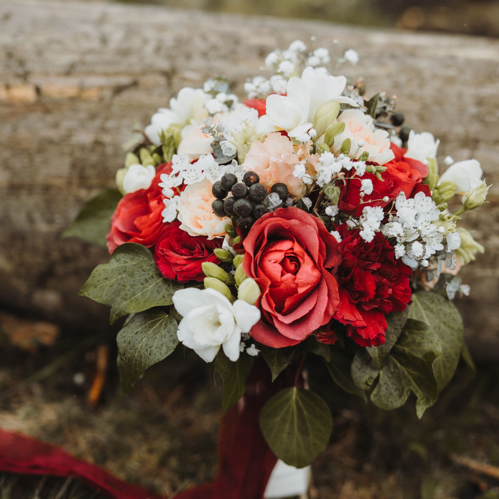 Brautstrauß mit roten Rosen und weißen Freesien mit Efeu und lachsfarbenen Akzenten. Dieser Brautstrauß ist rund gebunden für eine April Hochzeit. Brautstauß Frühling