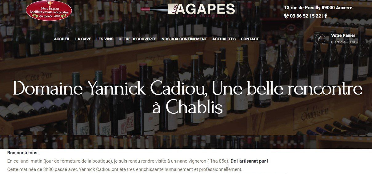 Articles Agapezs