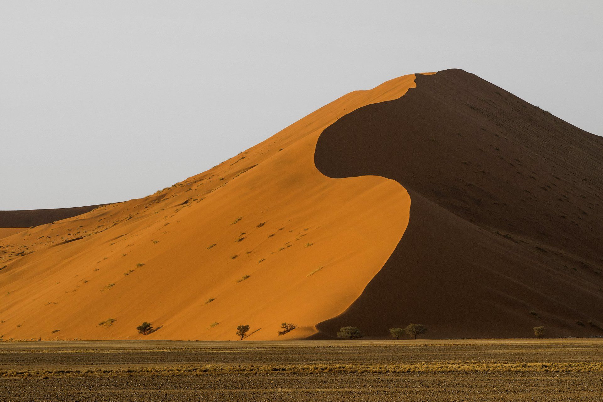 Namibia, Namib Naukluft Park, Düne 45, Wüste, Düne, Sanddüne