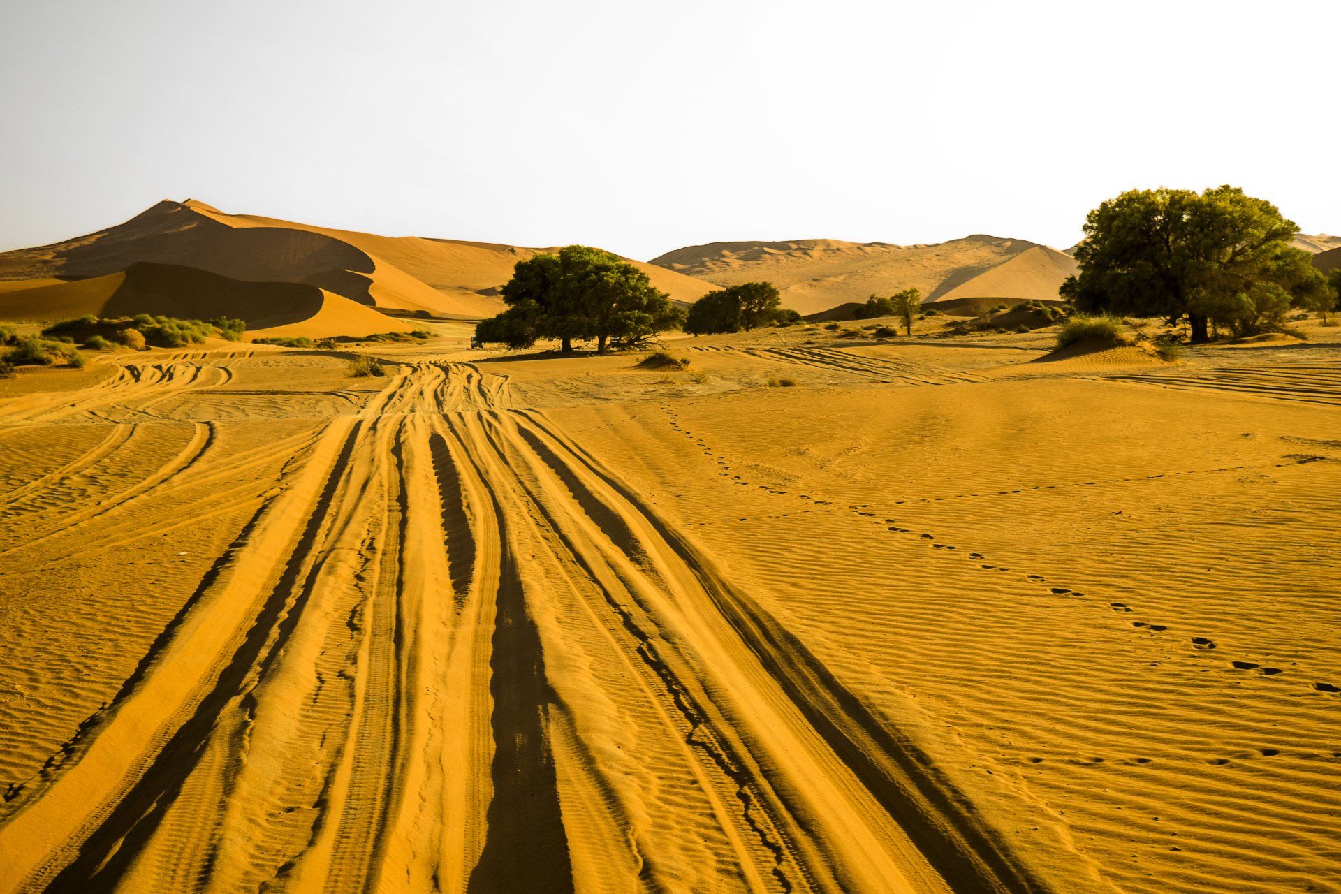 Namibia, Namib Naukluft Park, Sandpiste, Wüste, Düne, Sanddüne