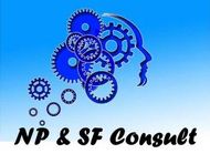 NP & SF CONSULT - Logo
