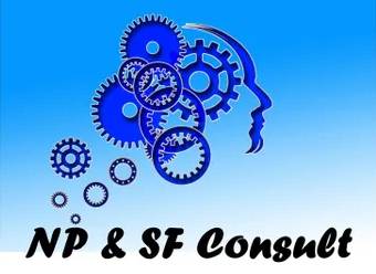 NP & SF CONSULT - Logo NP & SF CONSULT - Logo