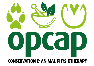OPCAP Logo