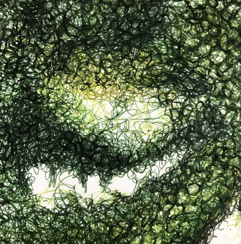 Eva Henrich, Moos II, 100x100cm, Tusche auf Zeichenkarton Eva Henrich, Moos II, 100x100cm, Tusche auf Zeichenkarton