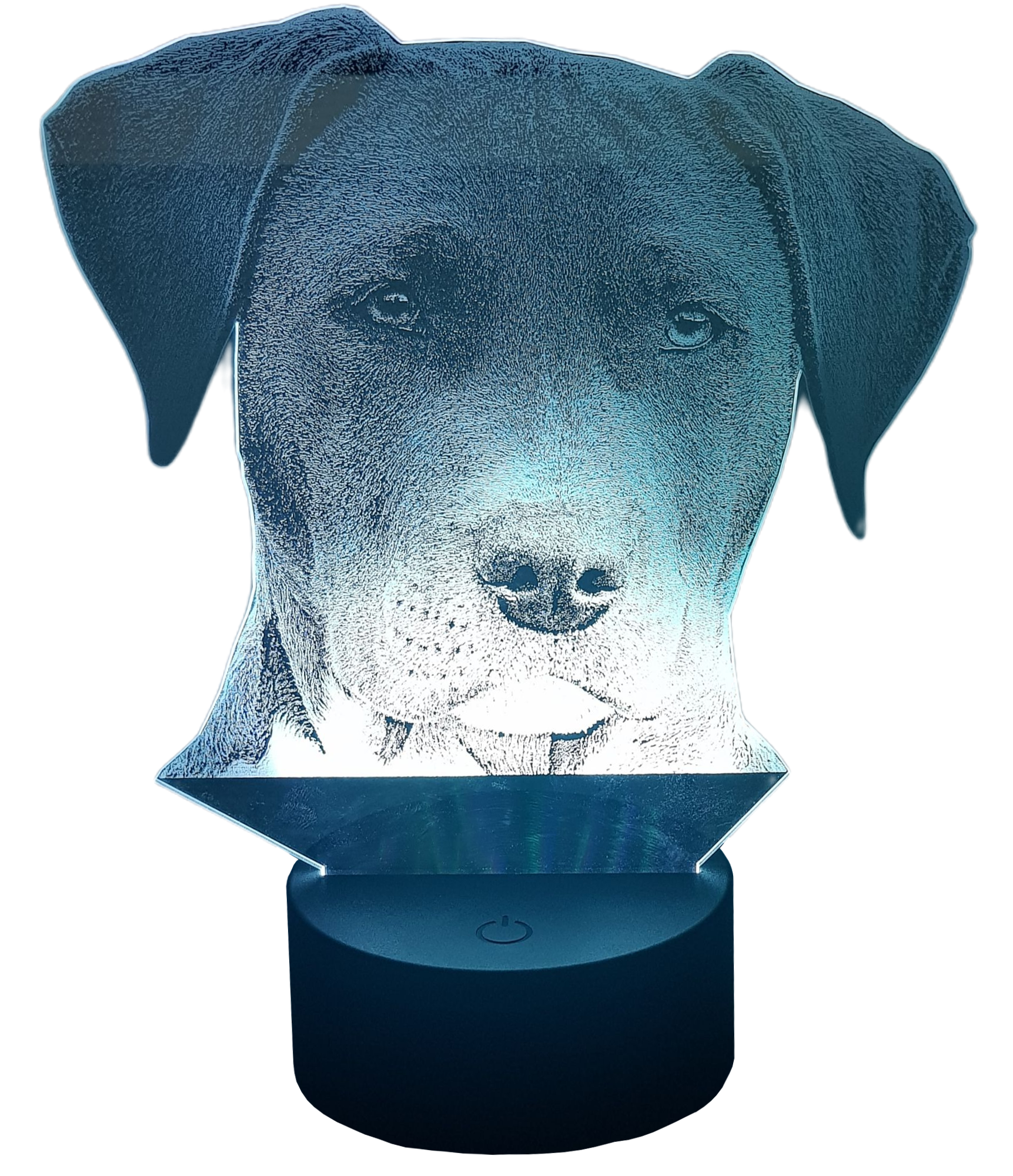 Blau beleuchtetes Hunde Acrylbild im LED Sockel