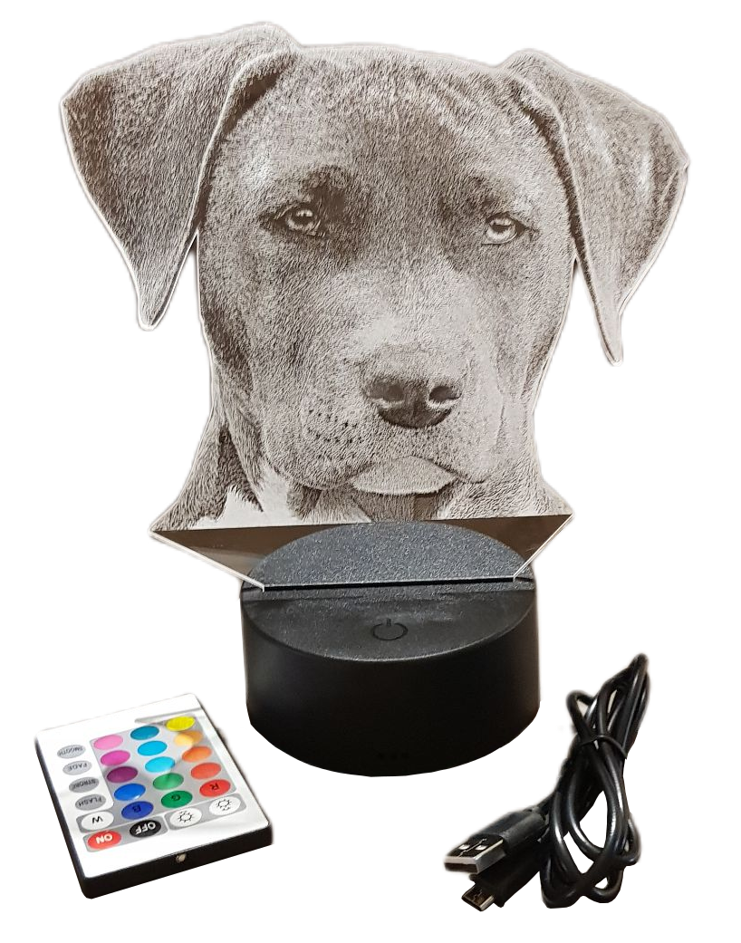 Hunde Acrylbild im LED Sockel