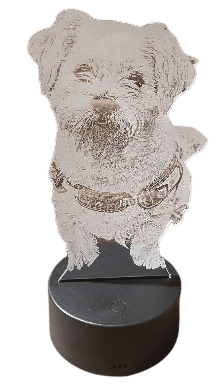 Hunde Acrylbild im LED Sockel