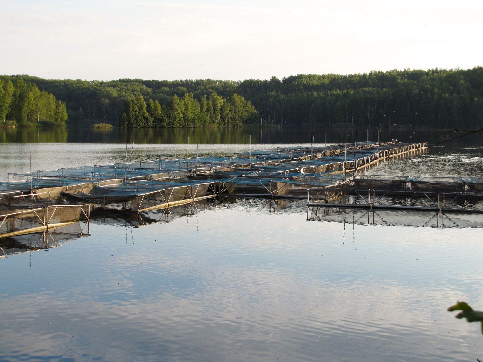 Fischzuchtanlage in See