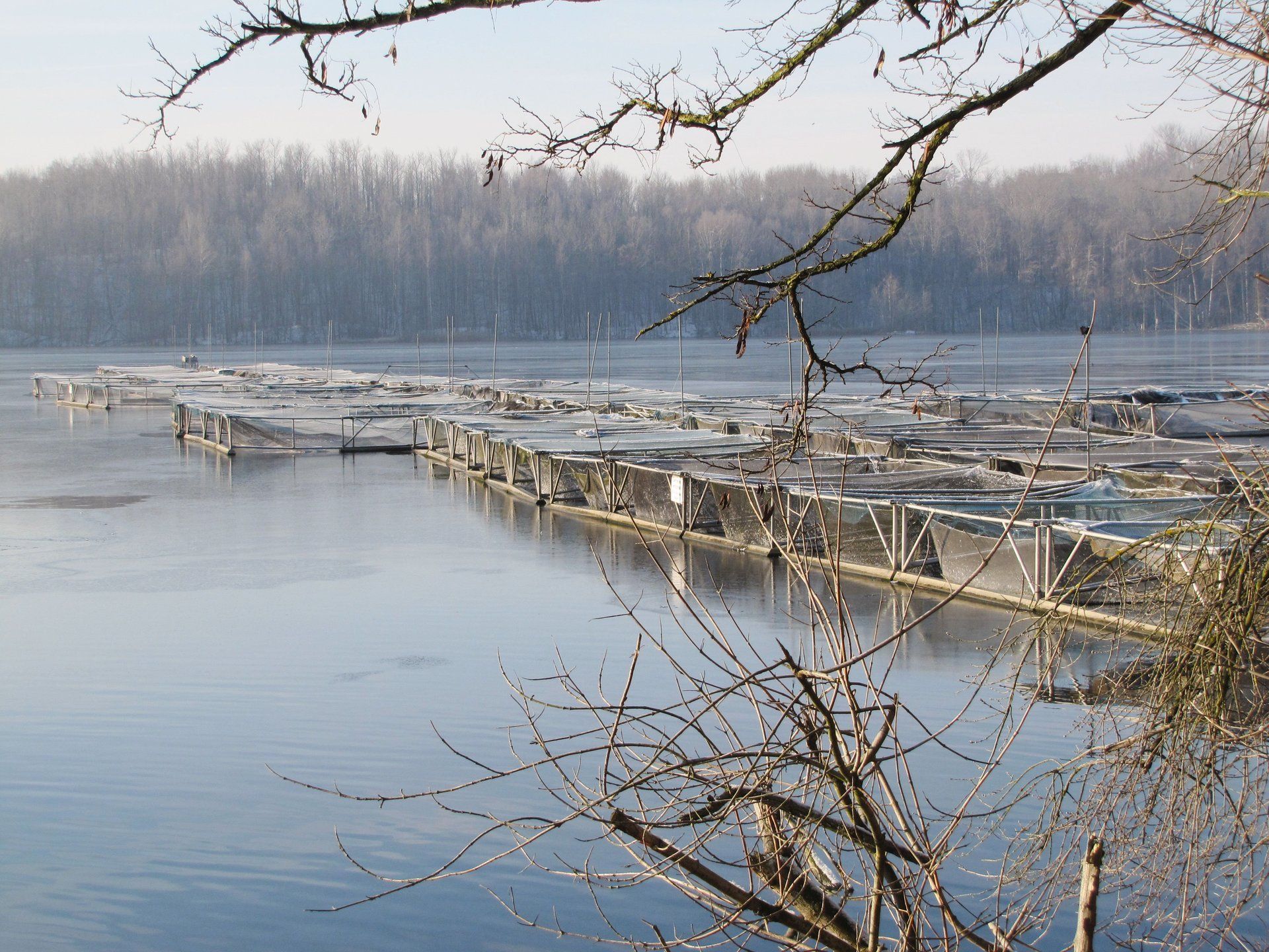 Fischzuchtanlage in See
