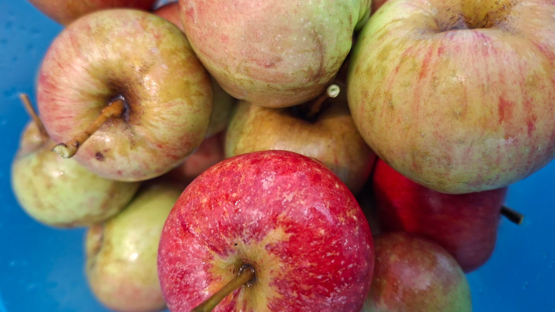 Foodie-Friday Foodie-Friday