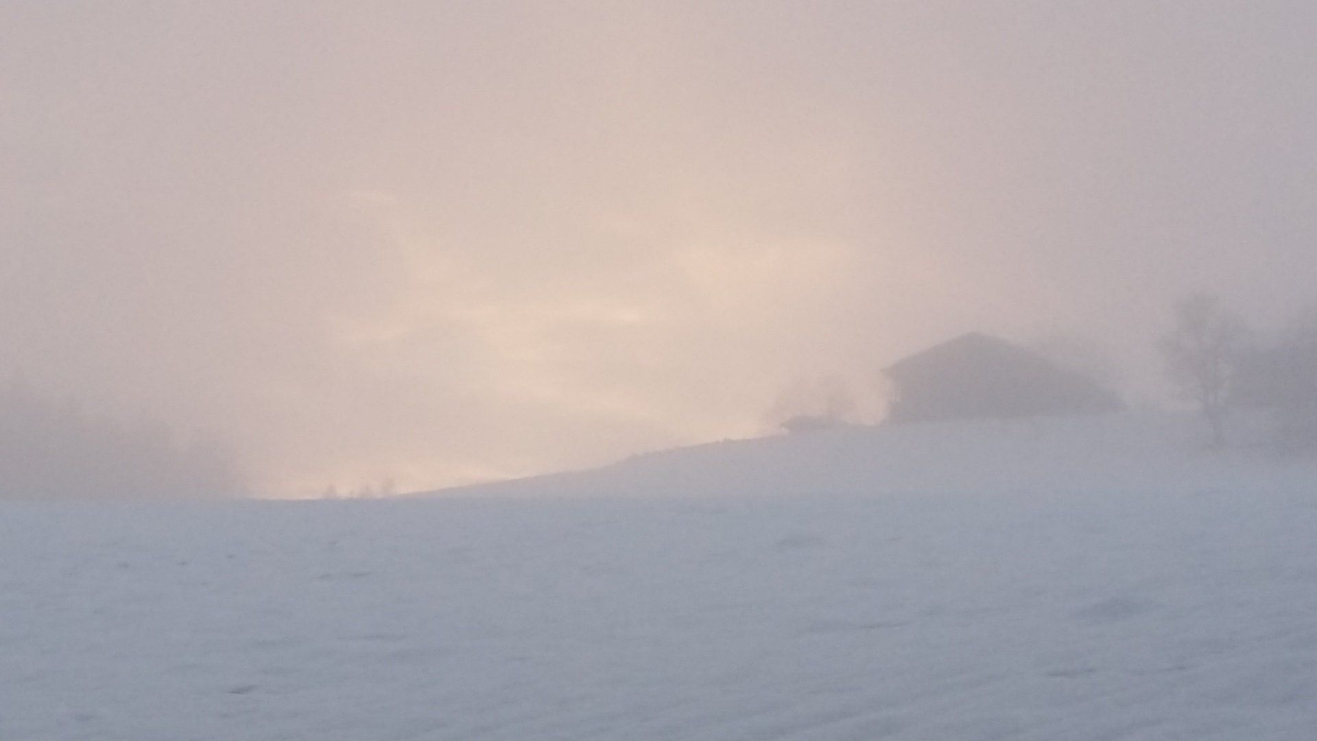 Die Bioenergie im Winter ist trocken- feucht-kalt-rauh