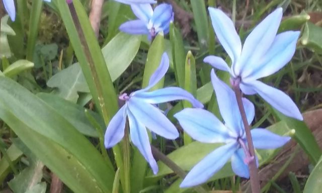 Workshops und Events Workshops und Events