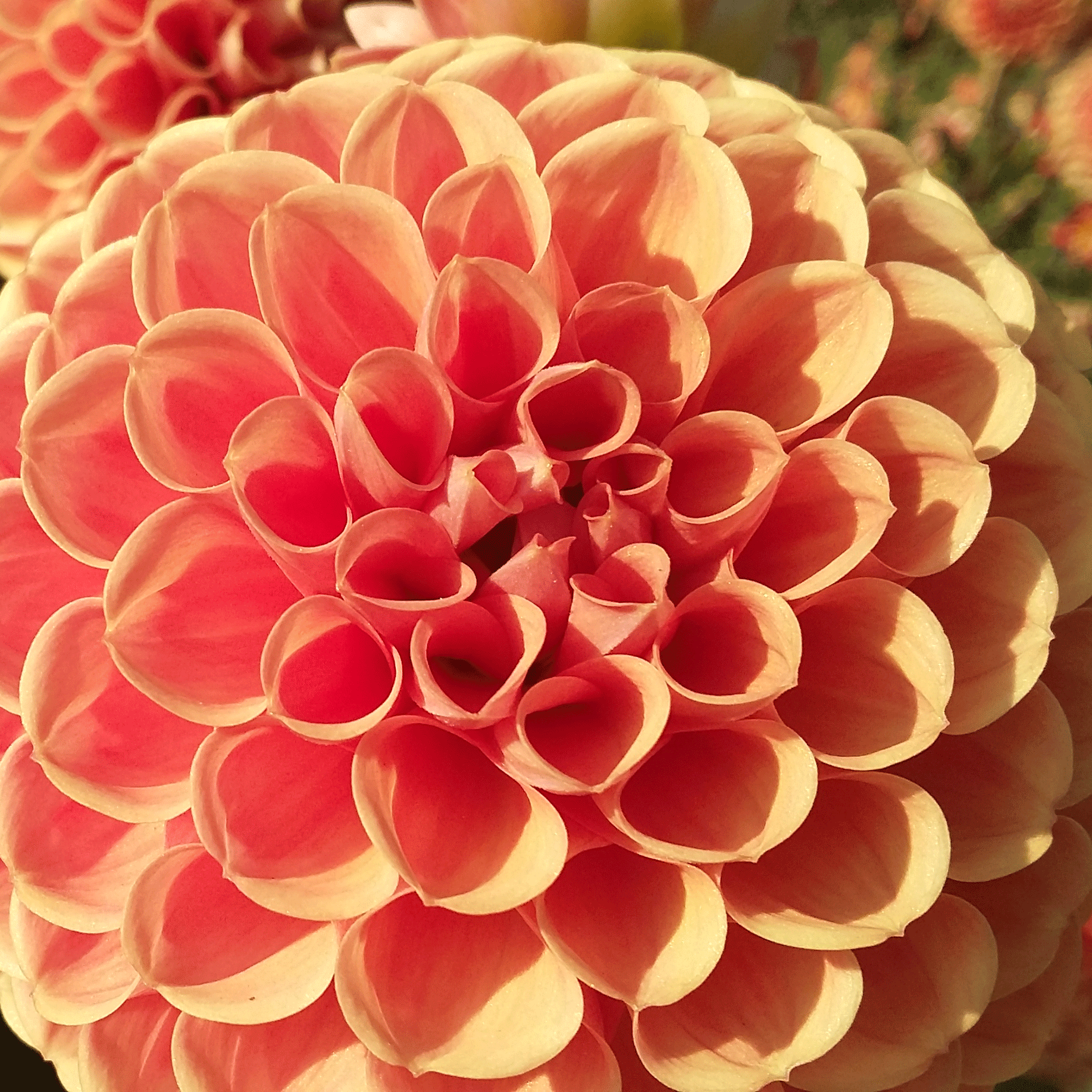 Wellness und Ayurveda Wellness und Ayurveda