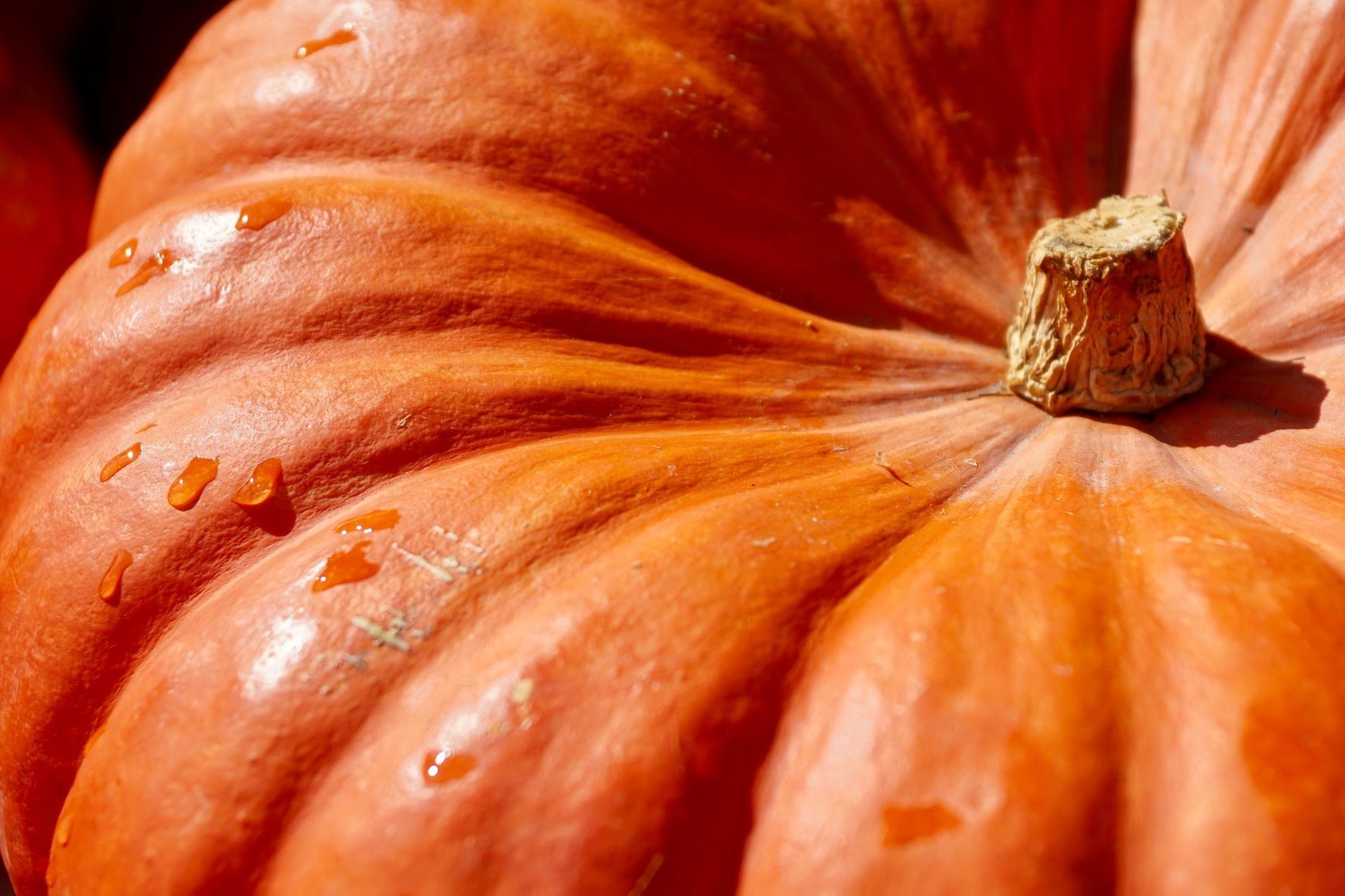 Wohlfühlen im Herbst
