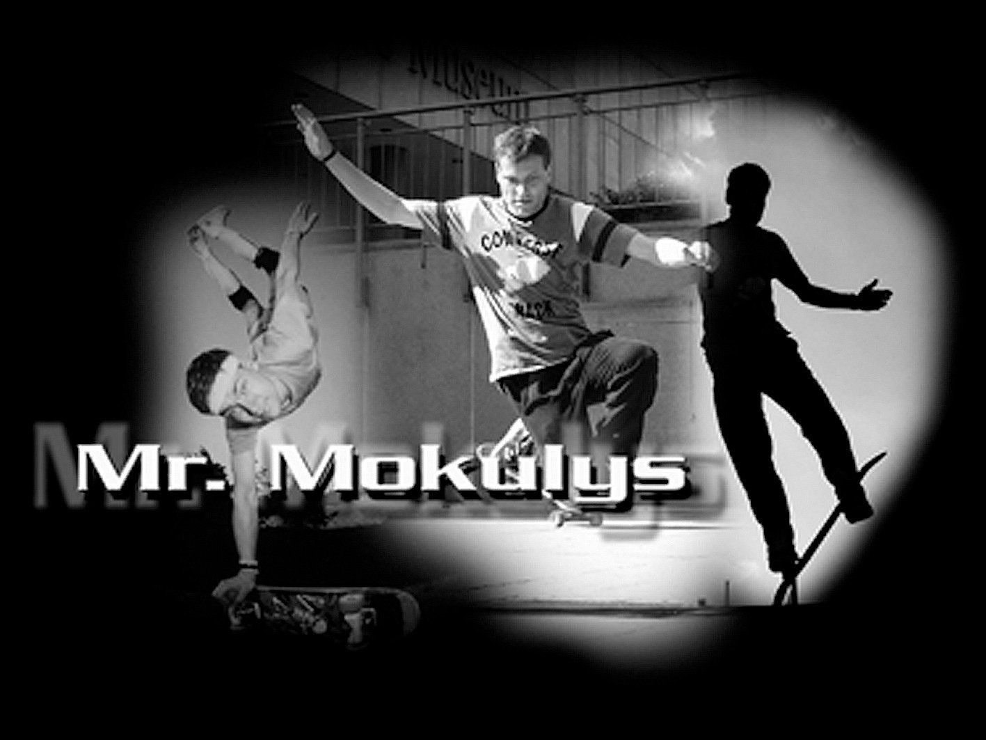 Freestyle Skateboarding, Guenter Mokulys, 1994.