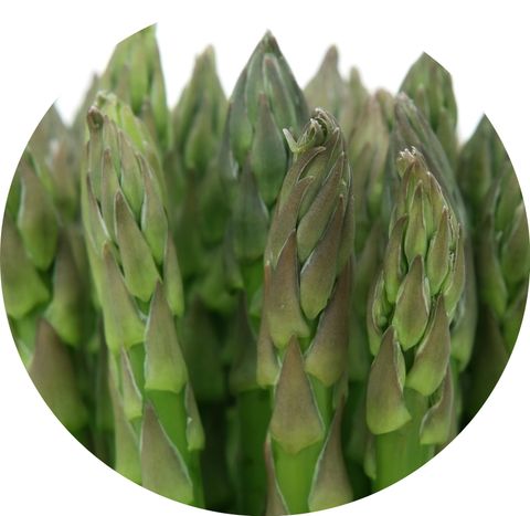 Grüner Spargel