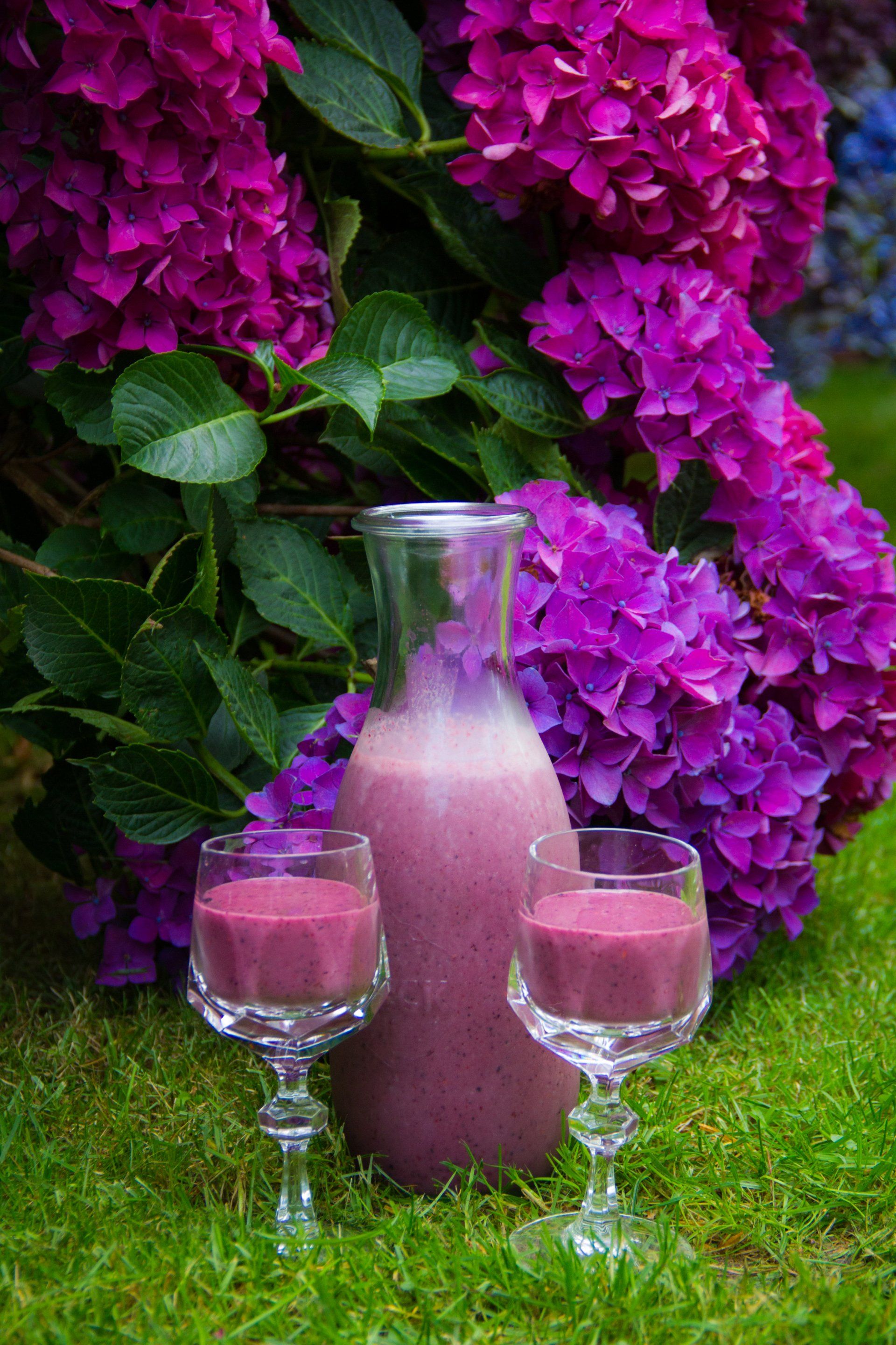 Smoothie gesunde pflanzenbasierte Küche Darmgesundheit