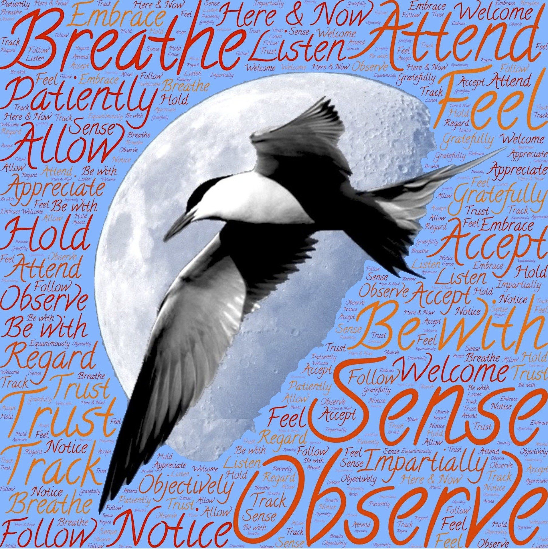 Boho Silver Sea Glass Jewellery 'about us' blog. Mental health positive words surrounding a moon and bird.