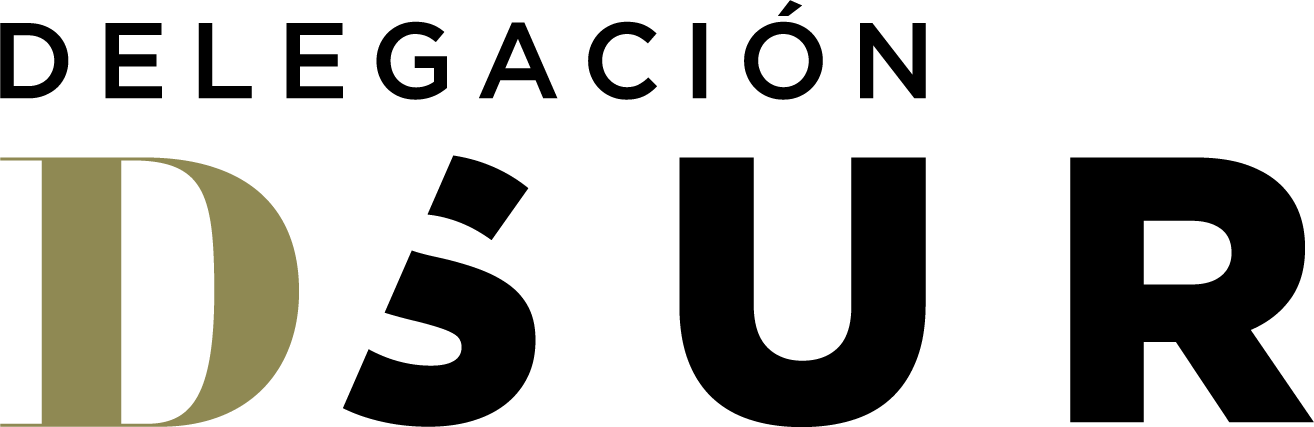 Delegación Sur