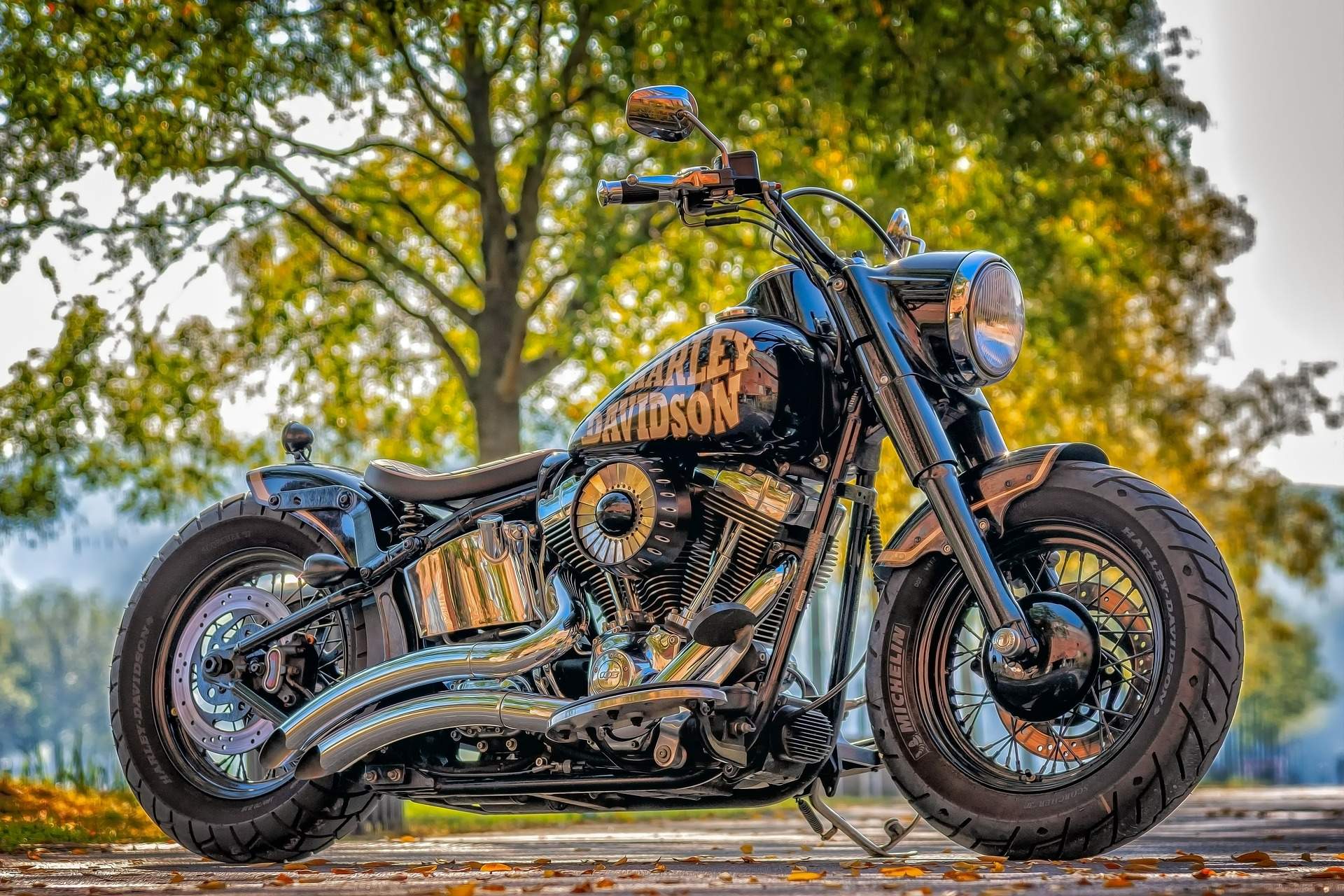 Harley-Davidson Birmingham Remapping