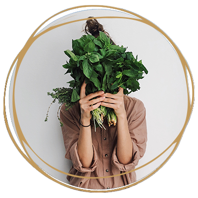 Entgiftung Gesundheitscoaching, Gesundheitskurse, Abnehmkurse, Entgiftungskurse, Anthony William, Medical Medium, 369 Leberreinigung, 369 cleanse, Leberentgiftungskurs, Gruppenkurse, Gruppencoaching, Gesundheitscoaching, Entschlackungskurse, Leberreinigung, gesunde Ernährung, Entgiftung