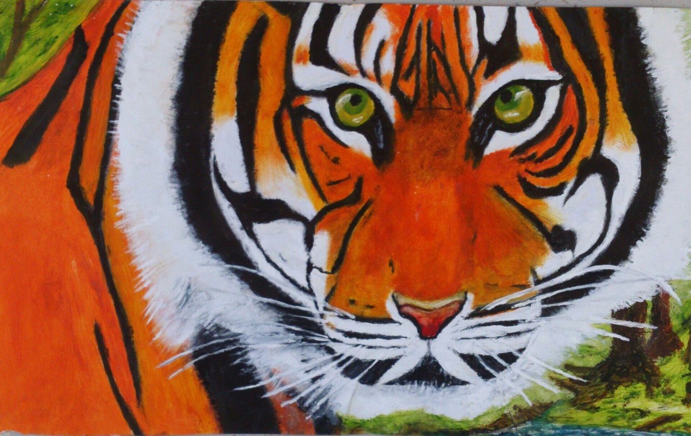 Tiger Clarence (37cm x 60cm) 2020