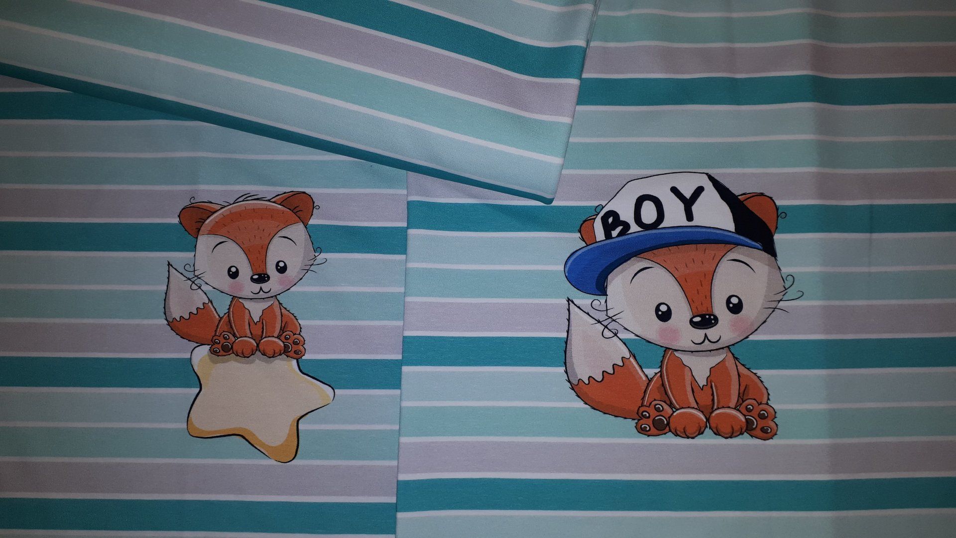 Fuchsjunge