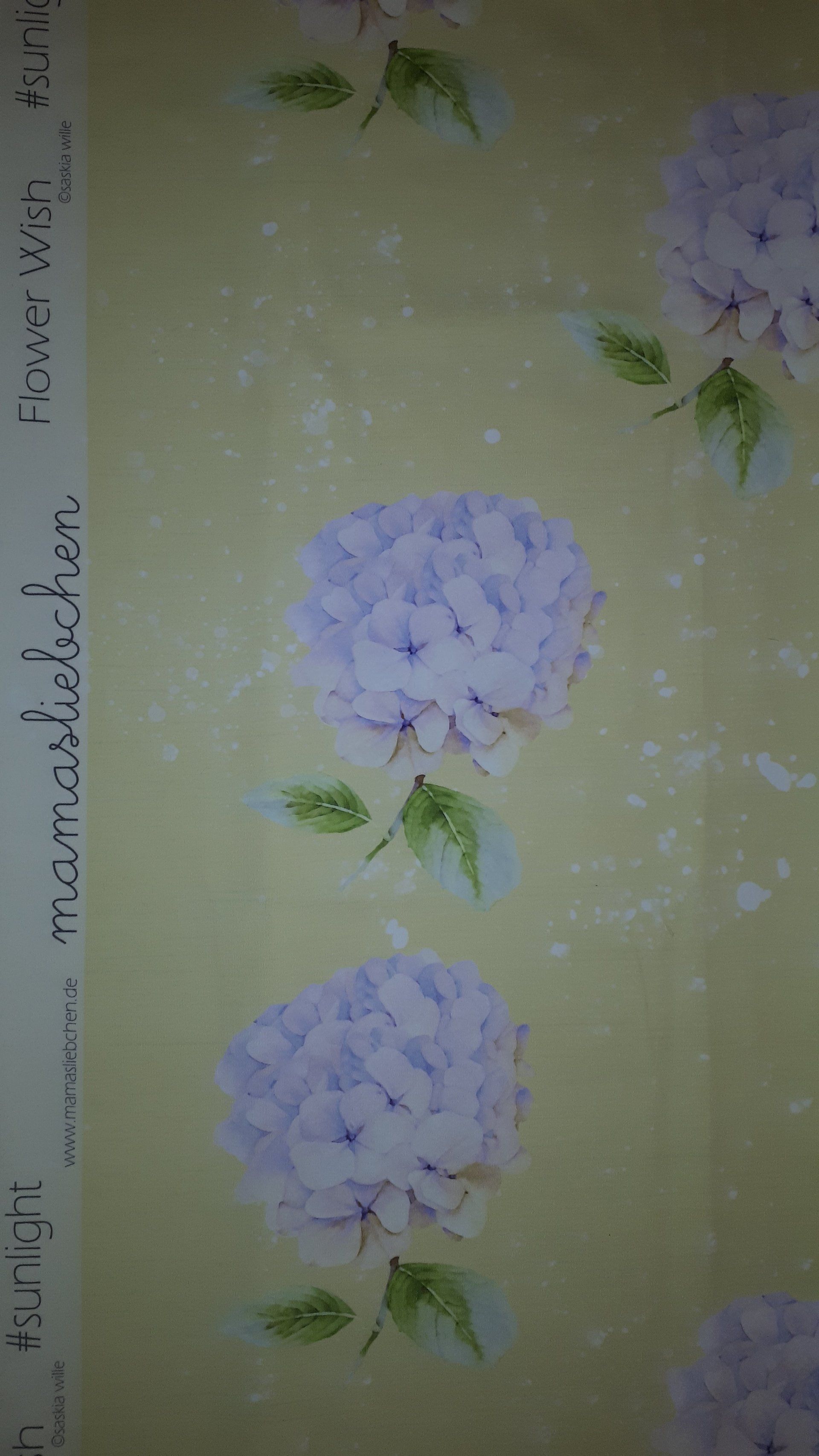 Flower wish #sunlight