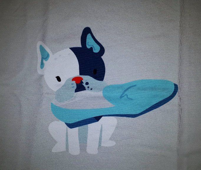 Panel Französische Bulldogge