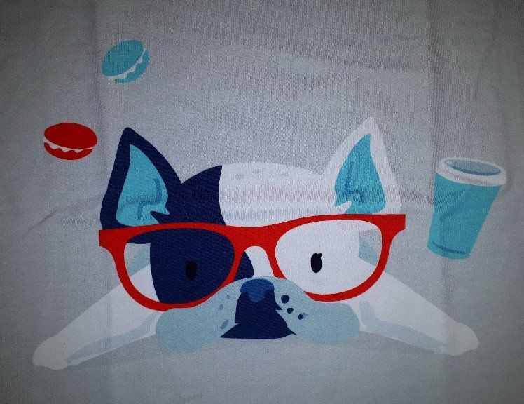 Panel Französische Bulldogge